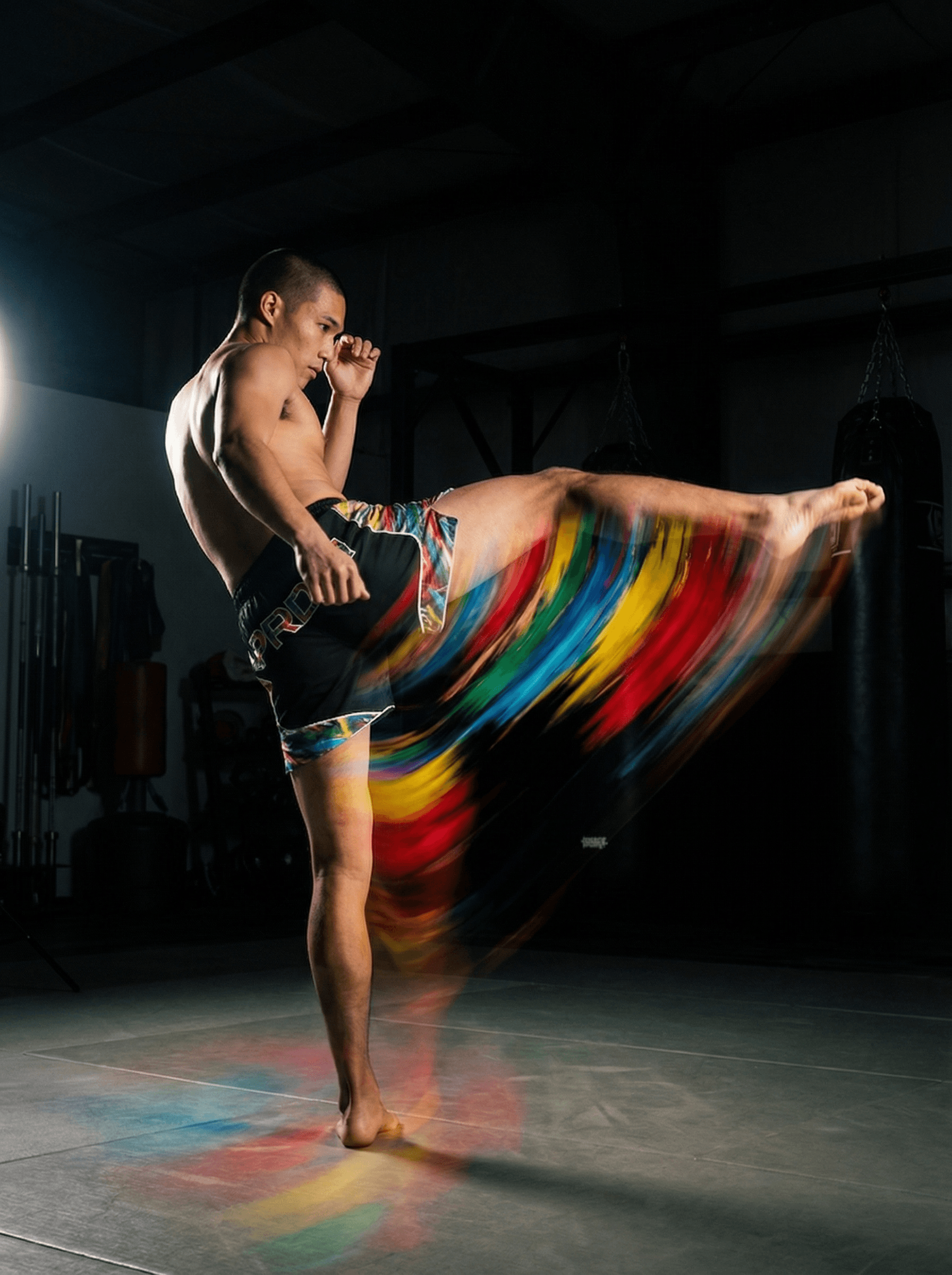 art of combat.
